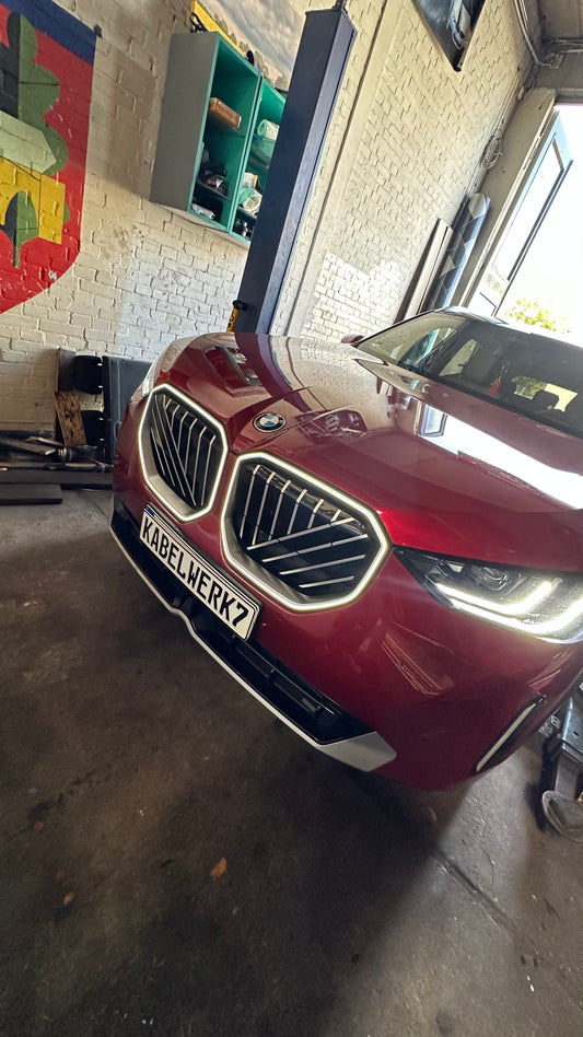 Einbau Iconic Glow für BMW F-, G- & U-Modelle
