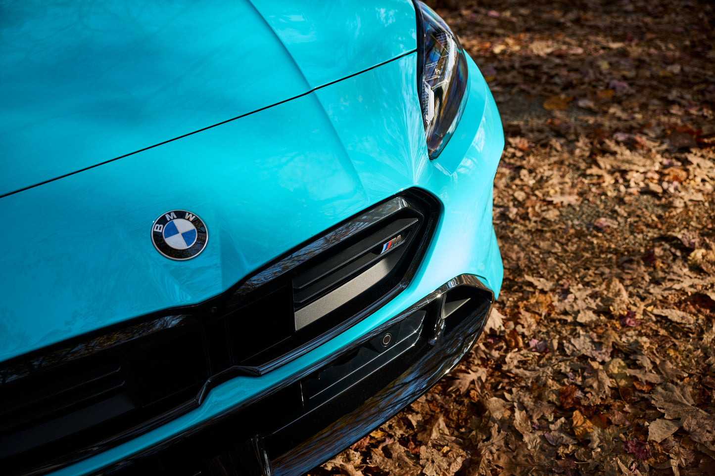 Nachrüstsatz Iconic Glow Nieren für BMW F70 / F74 / F78